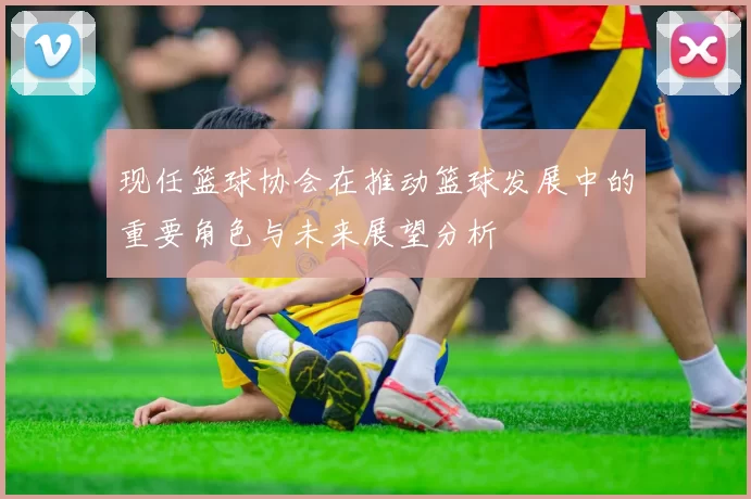 现任篮球协会在推动篮球发展中的重要角色与未来展望分析