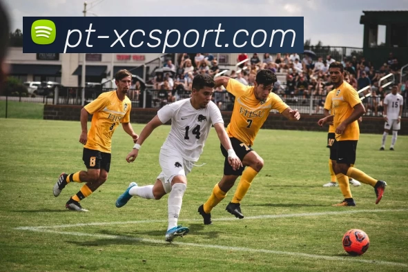 杏彩体育品牌故事