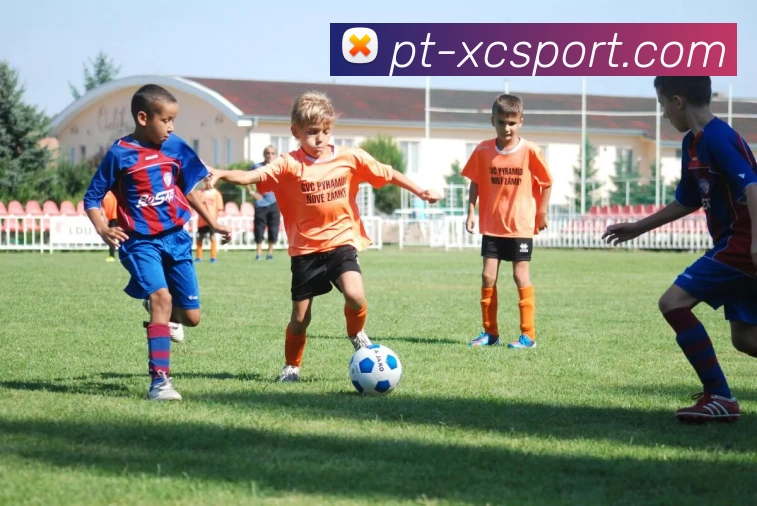 杏彩体育服务体系